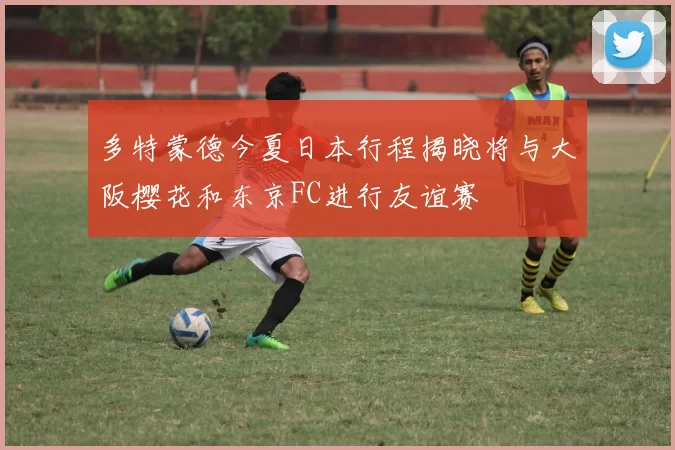 多特蒙德今夏日本行程揭晓将与大阪樱花和东京FC进行友谊赛