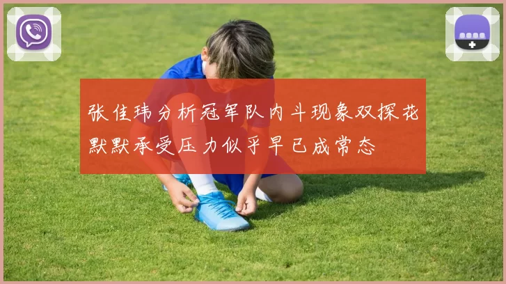 张佳玮分析冠军队内斗现象双探花默默承受压力似乎早已成常态