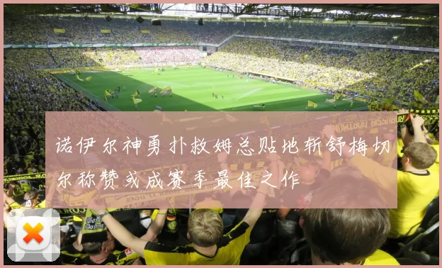 诺伊尔神勇扑救姆总贴地斩舒梅切尔称赞或成赛季最佳之作